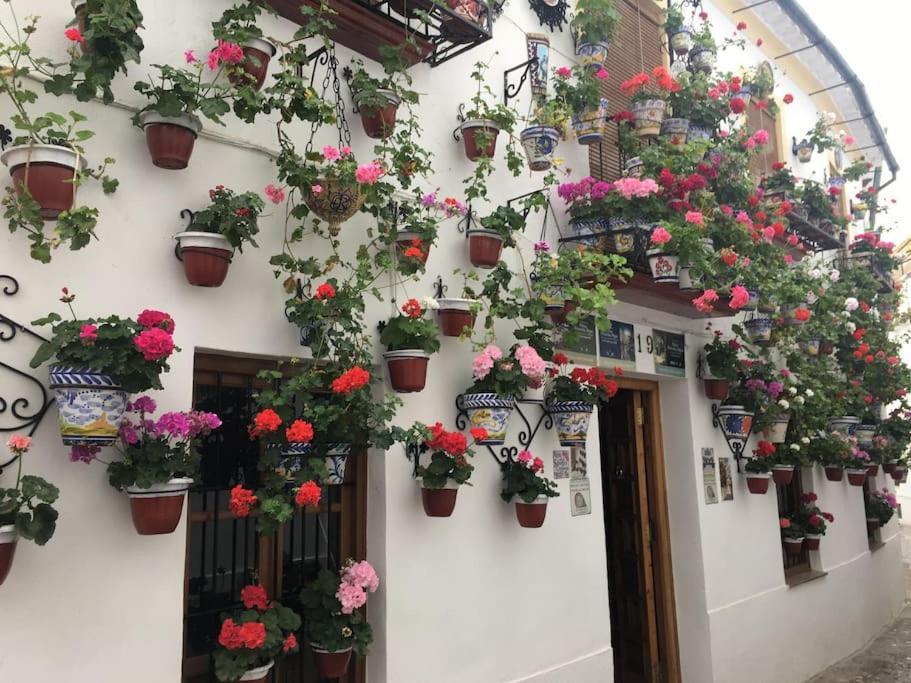 Apartamento El Rincon De La Verdad Córdoba Buitenkant foto